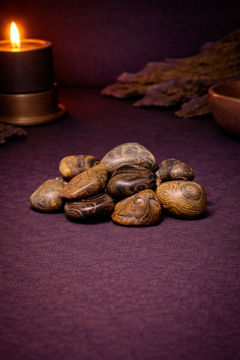 Stromatolite Tumbles-1