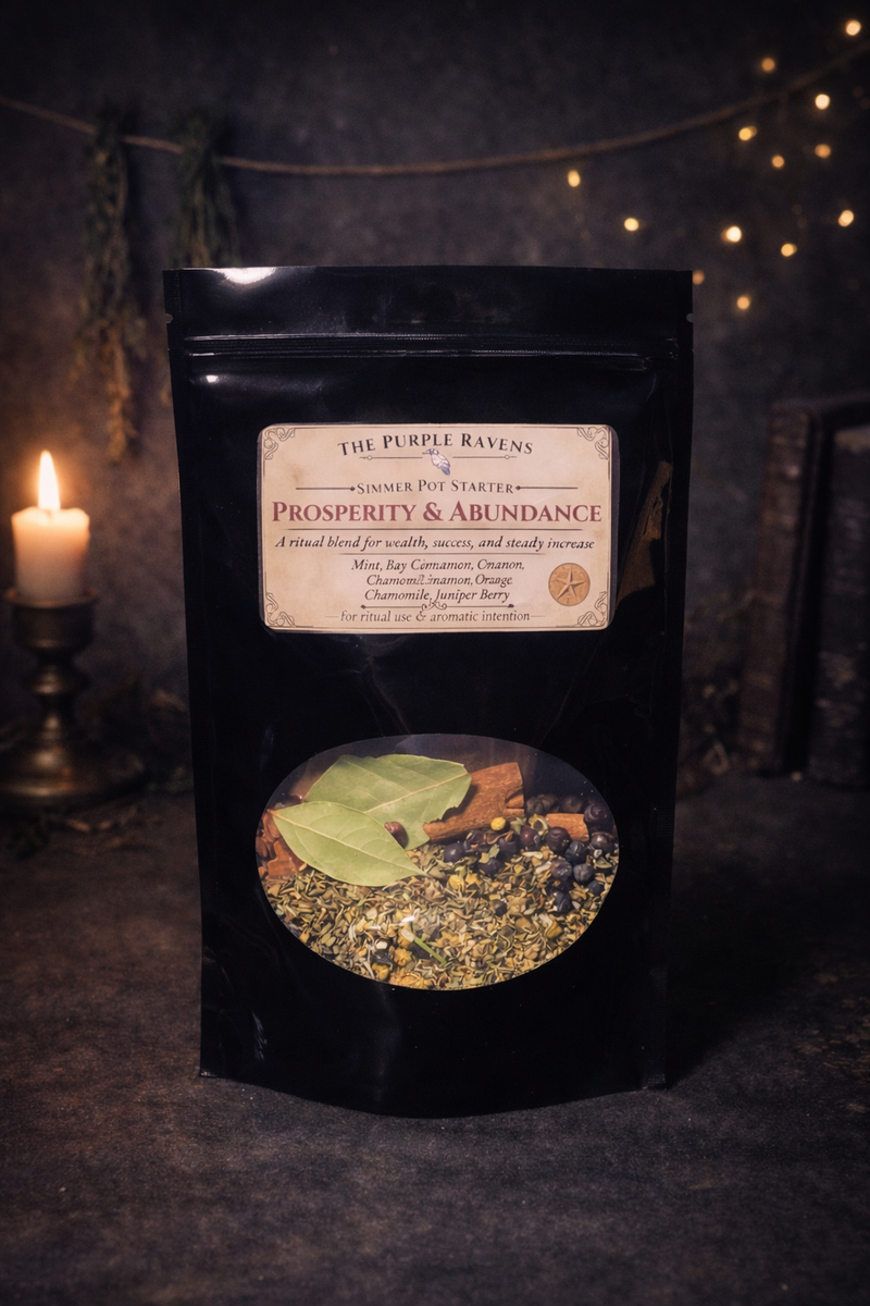 Simmer Pot Starter - Prosperity & Abundance-1