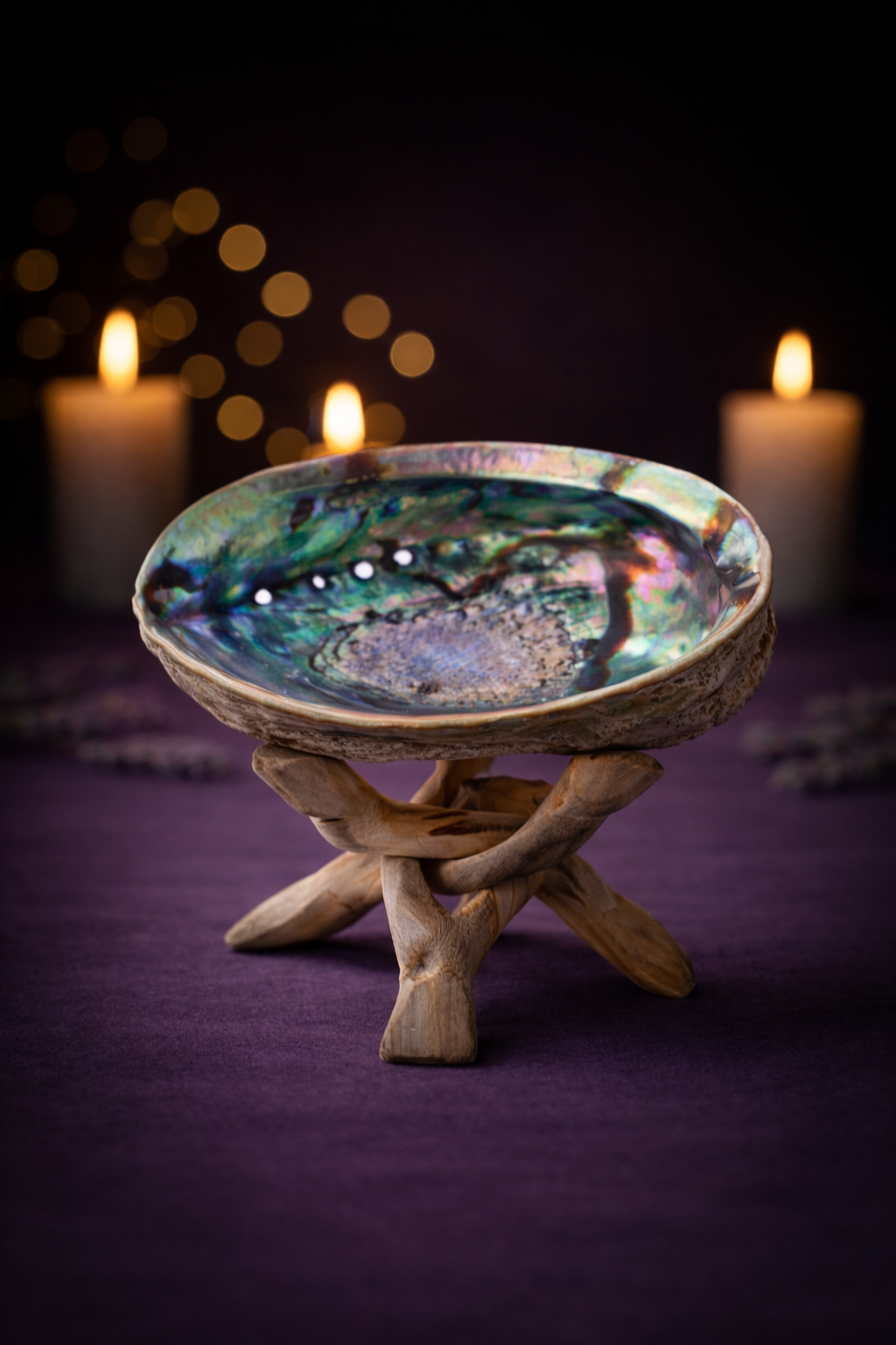 Abalone Shell 5-6" W/ Tripod